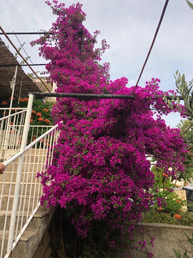 Cozy New Flat For 2 Or 3 Apartment ฮวาร์ ภายนอก รูปภาพ