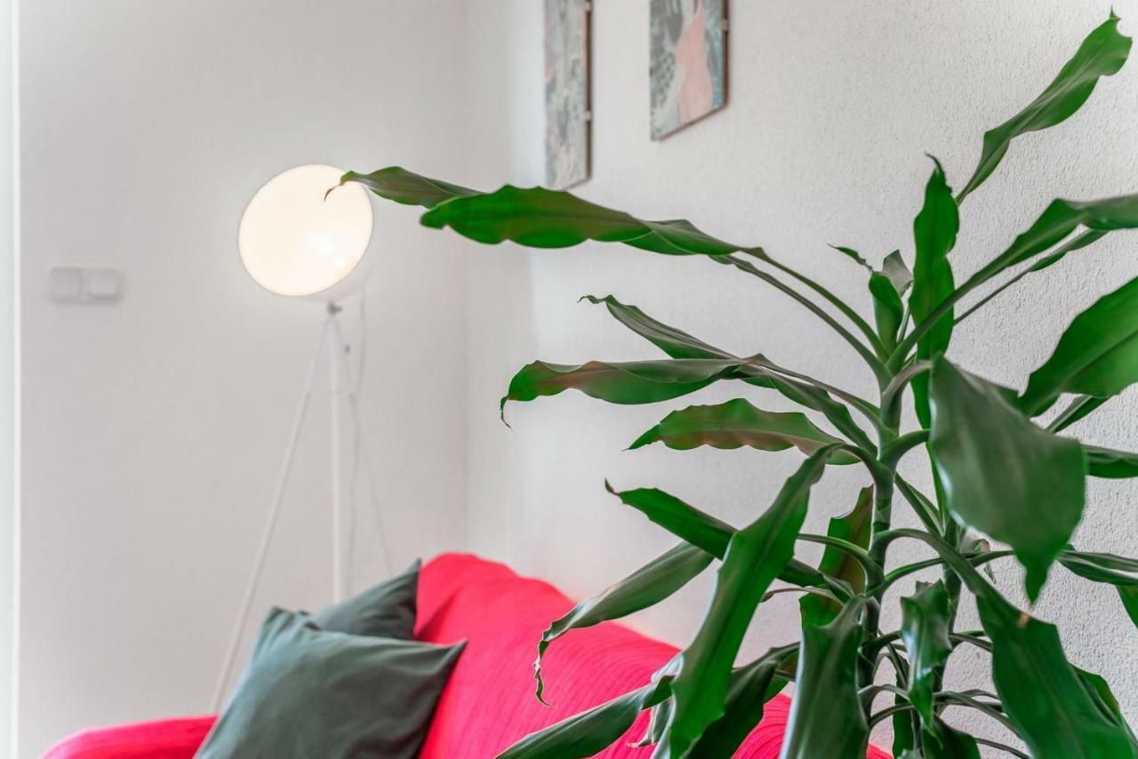 Cozy New Flat For 2 Or 3 Apartment ฮวาร์ ภายนอก รูปภาพ